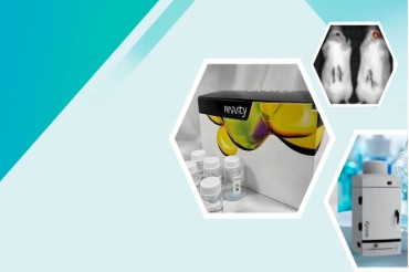瑞孚迪IVISense™ GFR 680荧光探针，精准成像的革新利器