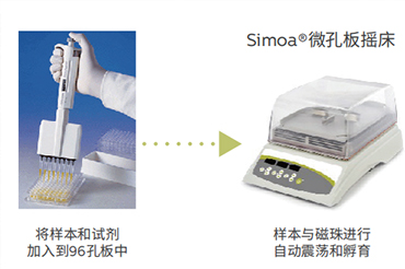 SR-X超灵敏单分子蛋白检测系统-96个测试，只需4个小时!