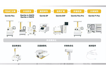 上海玮驰祝贺赛桥生物，助力英百瑞通用现货型CAR-raNK细胞产品IND申报，推动CGT药物产业发展