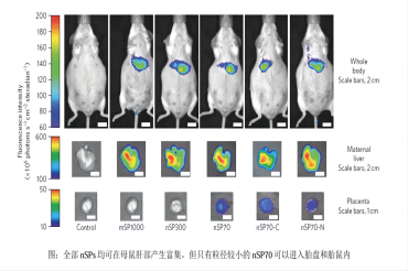 小动物活体光学成像技术在生殖科学中的应用