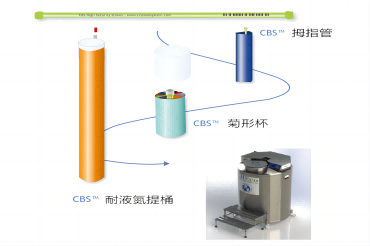 如何更有效地优化液氮罐储存空间？CBS告诉你