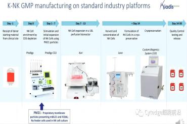 NK细胞治疗全解析-工艺篇