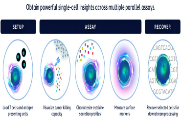 布鲁克细胞分析单细胞功能表征平台助力多项肿瘤免疫研究