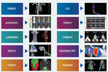 瑞孚迪IVIS Lumina III小动物活体光学成像系统