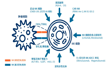 细胞量大怎么办？高量扩增，快速收获、精准分装&单批冻存，您的选择来了！