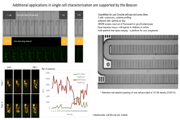 客户分享｜Caltech利用Beacon®多重检测和定量分析增强抗体发现应用