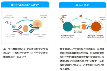 Revvity 均相免洗的细胞因子检测方案