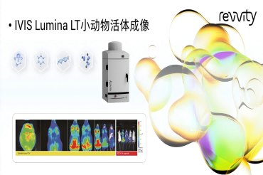 瑞孚迪IVIS Lumina LT，让二维活体光学成像更加简便！