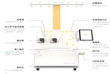 赛桥 Gentle Flex Pro 全封闭大体积细胞处理系统：加速细胞治疗从研发到商业化的跨越