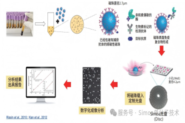 Simoa®课堂系列 ① | Simoa®单分子蛋白检测技术