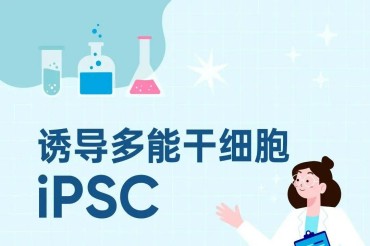 赛桥生物：iPSC规模化新质生产解决方案
