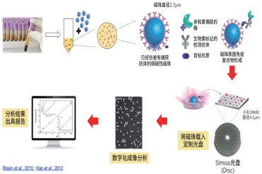 Nature子刊研究揭示tau蛋白与白质损伤序列，精准医疗再进一步，看Simoa技术如何通过一滴血预测脑部病变
