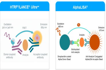 GPCR药物筛选四大核心技术:从初筛到功能验证的全流程方法学比较