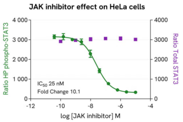 瑞孚迪STAT3检测全面升级:更高性能、更全位点